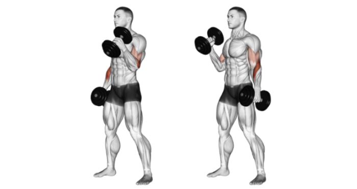 Alternating Hammer Curls