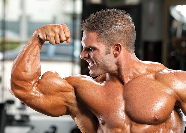 Arm Exercises To Build Big Muscles