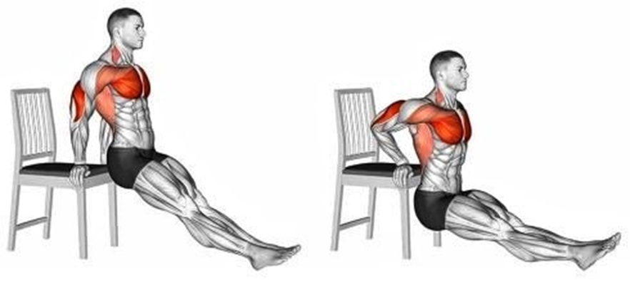 Dips - Build Big Muscles