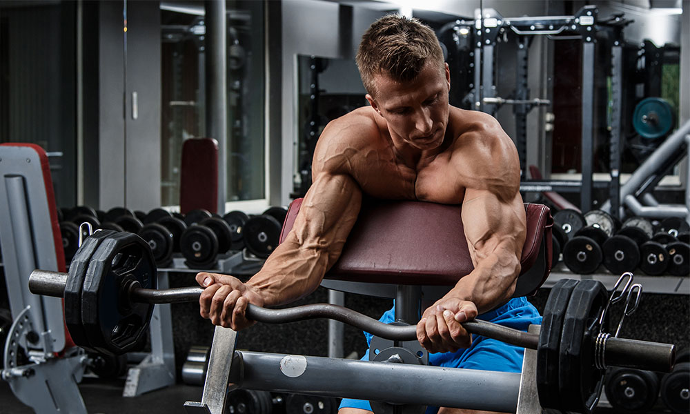 Benefits of Preacher Curls – Bodybuilding & Fitness