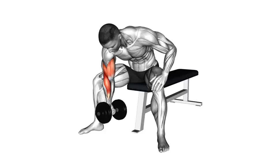 Seated Concentration Curl
