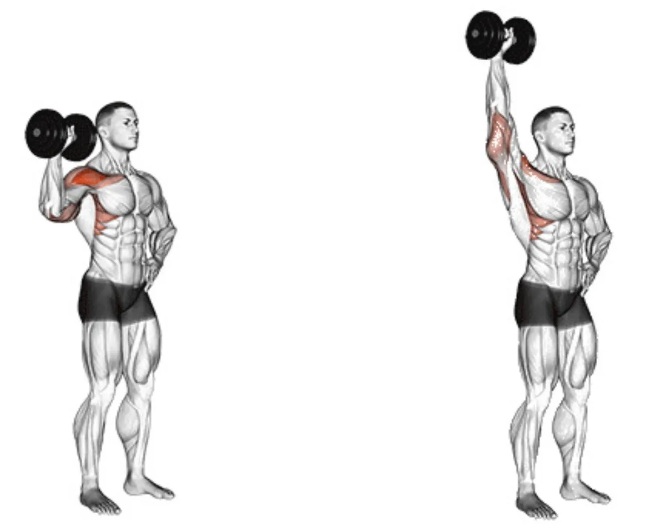 Single Arm Dumbbell Press