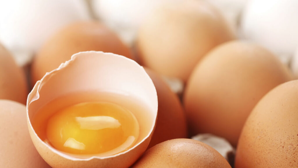 Egg Whites versus Whole Eggs