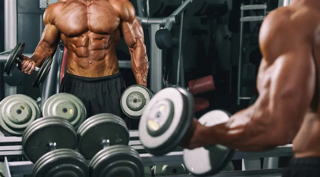 Ecdysterone Supplement For Bodybuilding