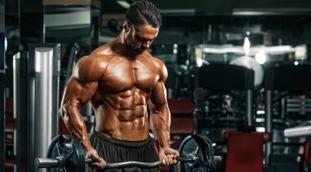 What is Hypertrophy Training And How To Gain Additional Muscle Size?