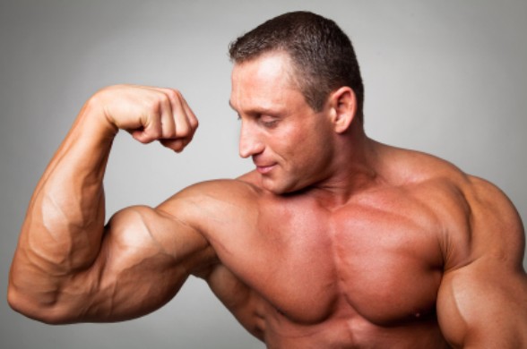 Soy Protein Supplements Review