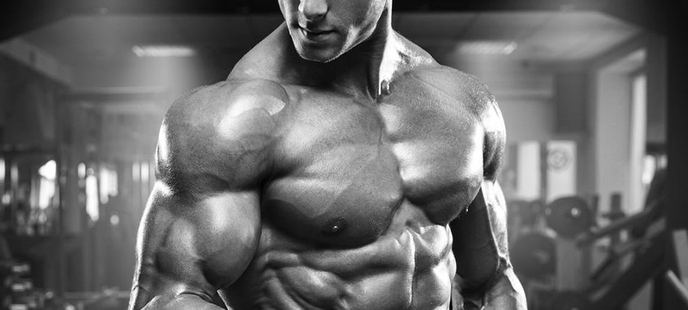 The Importance of Iron