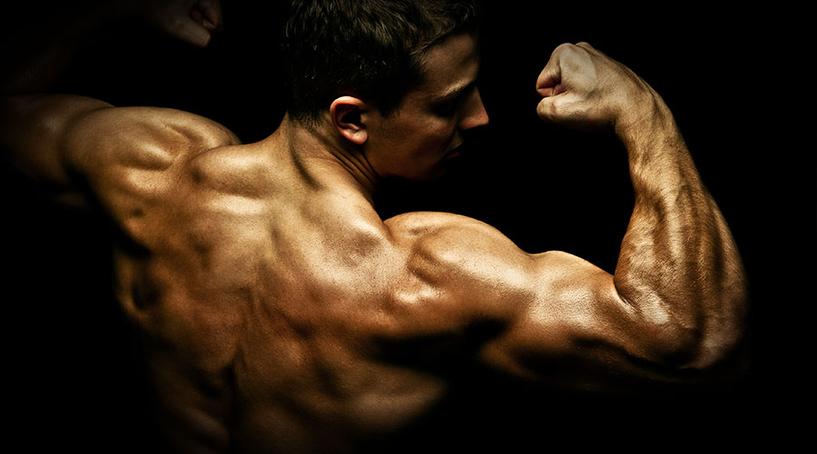 Testosterone or HGH for Bodybuilding? Testosterone or HGH for Bodybuilding?
