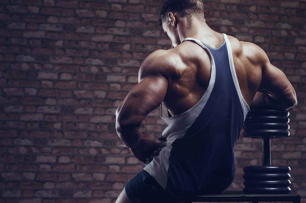 Are HGH Supplements Good For Building Muscle?