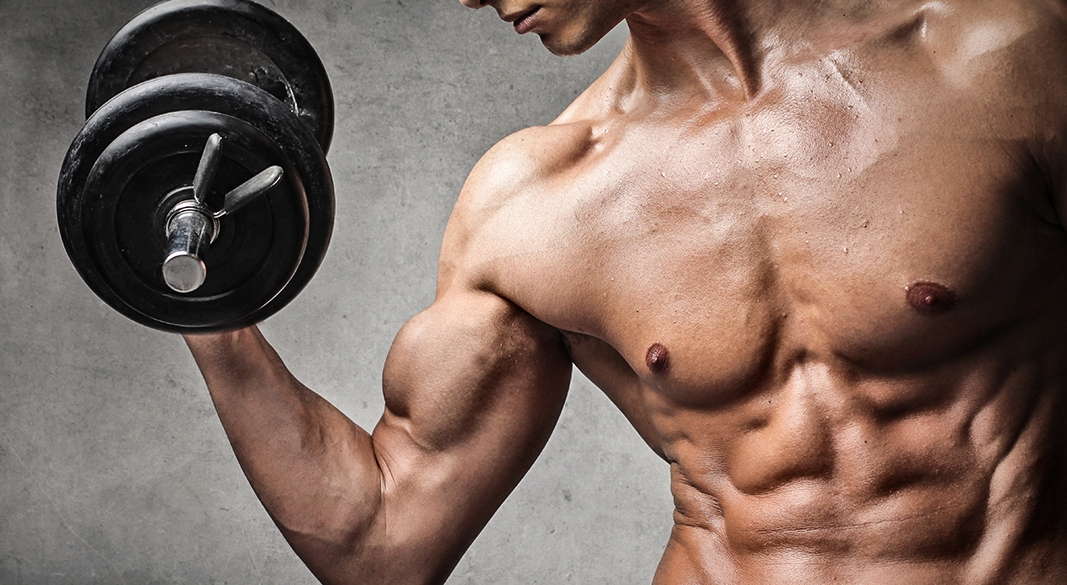 Skinny Guys Need to Bulk Up To Gain Muscle Skinny Guys Need to Bulk Up To Gain Muscle