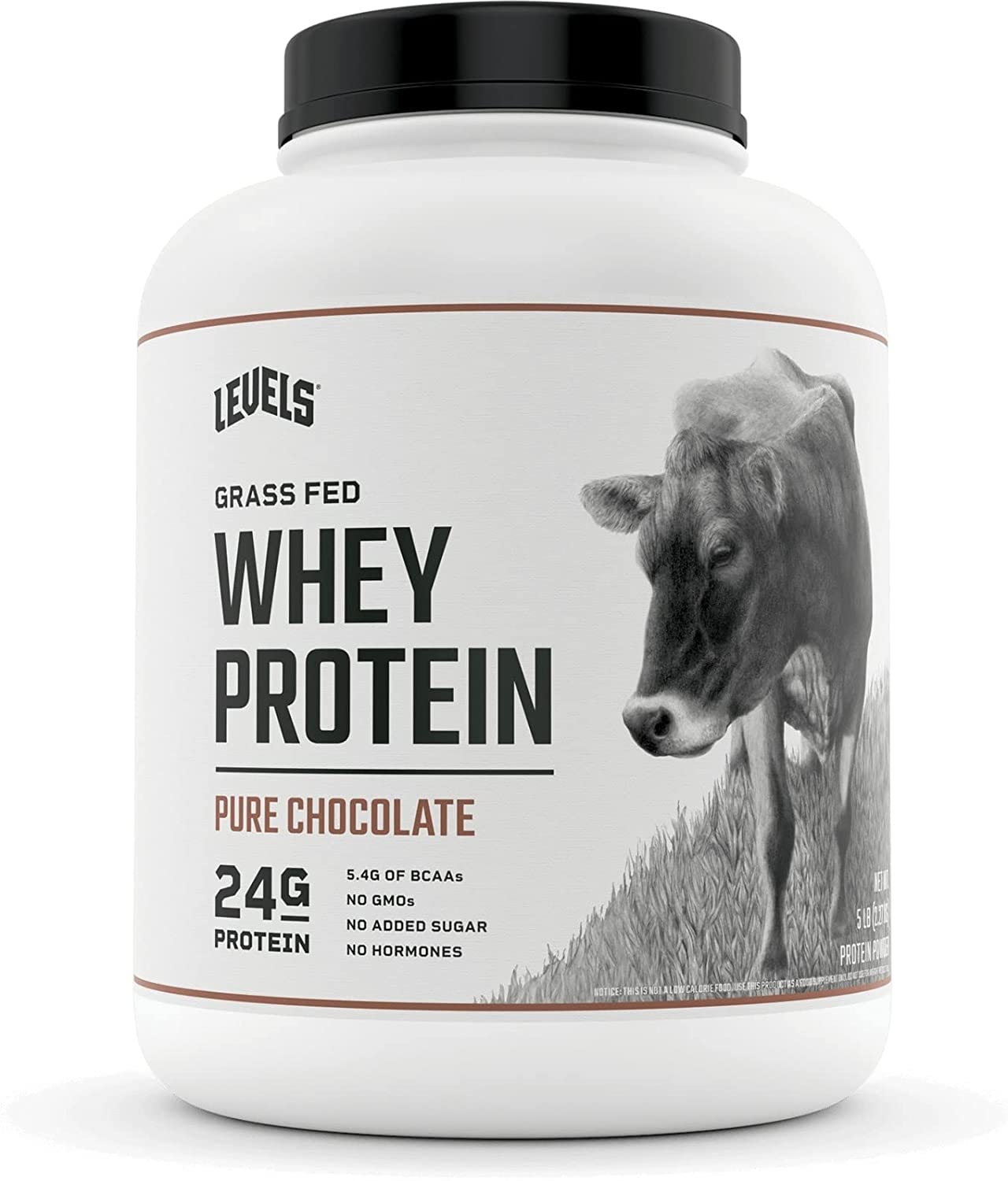 Levels Whey Chocolate Protein