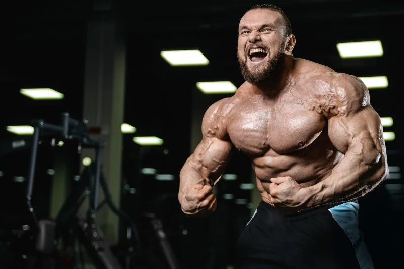 What Split Do Most Bodybuilders Use?