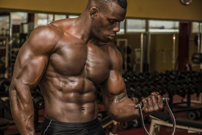 Different Types of Lifters Different Types of Lifters