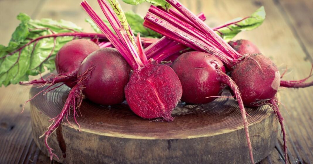 Best Beet Root Powder Supplements
