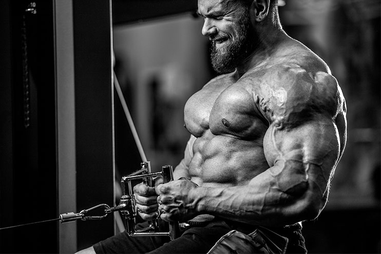 Top 5 Best Testosterone Boosters That Work