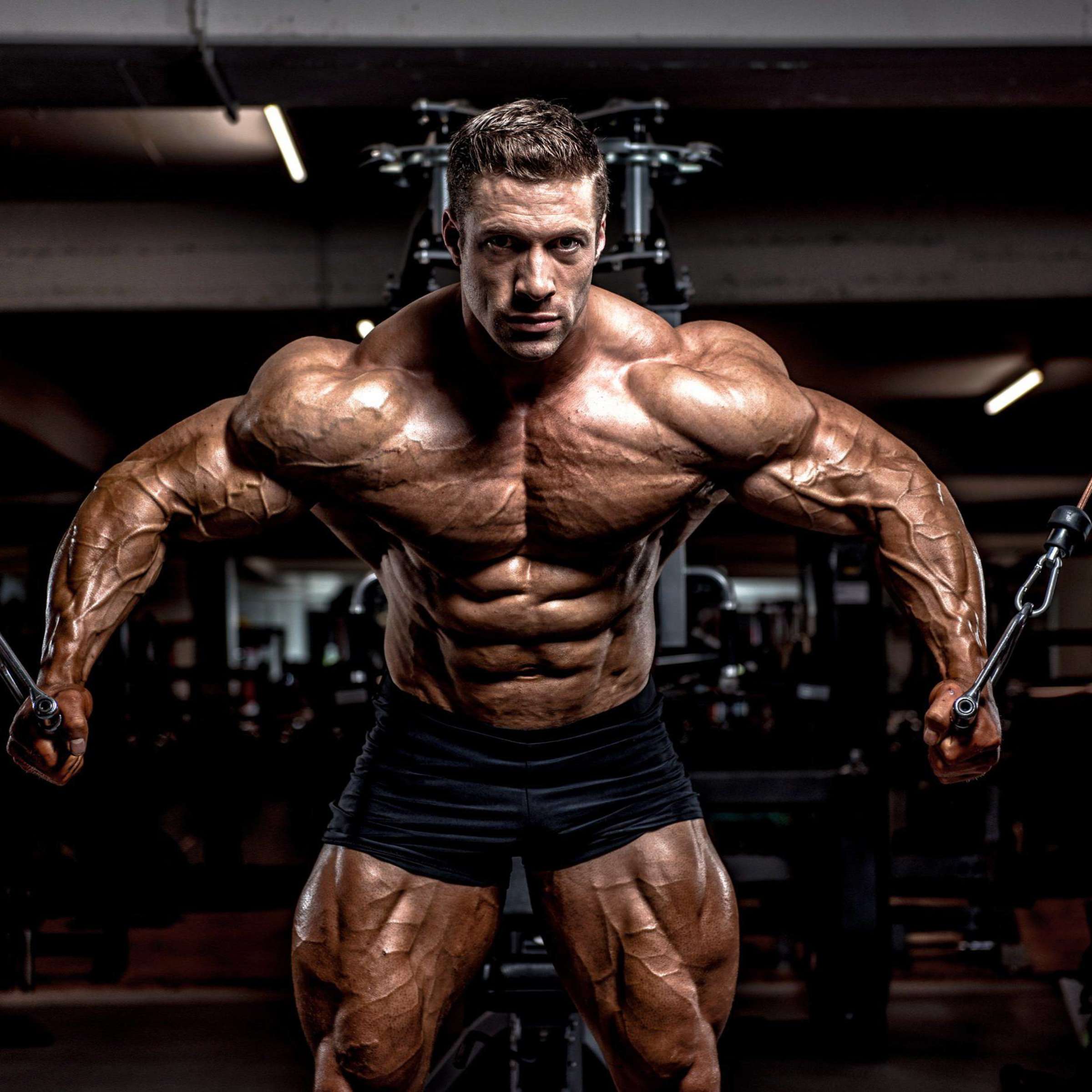 Ultimate Muscle Builder Ultimate Muscle Builder