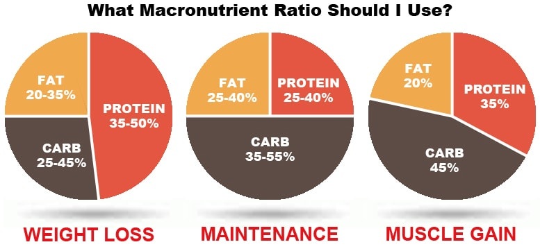 The Best Macros for Building Muscle and How to Calculate Them