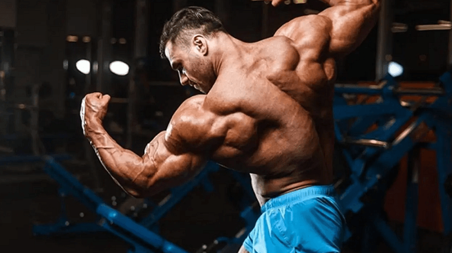 Deltoid