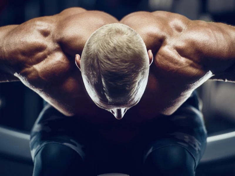 Trapezius Maximus Muscle