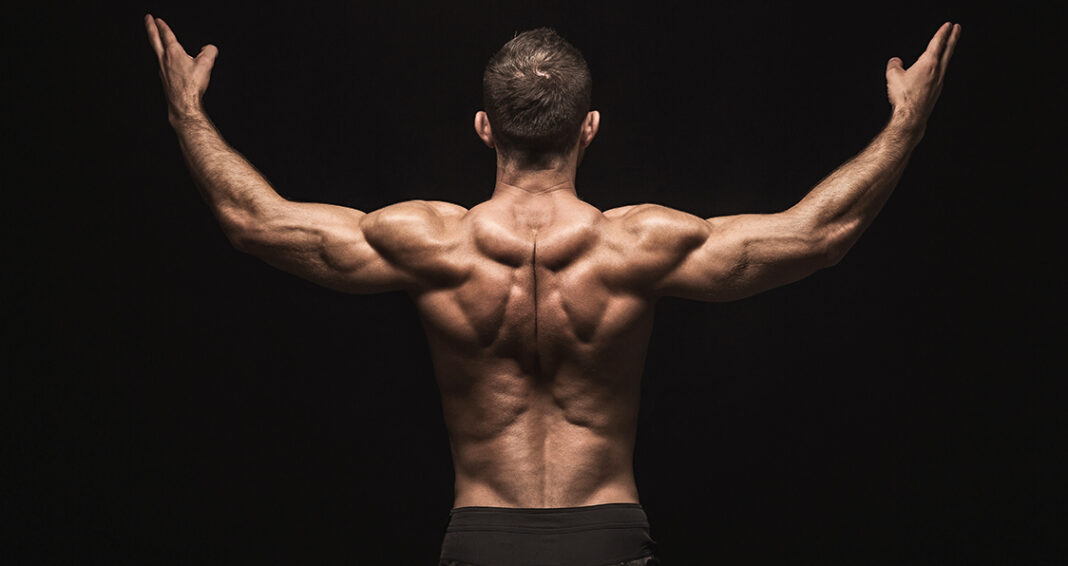The Best Lower Back Exercises for Bodybuilding: Build Strength and Stability