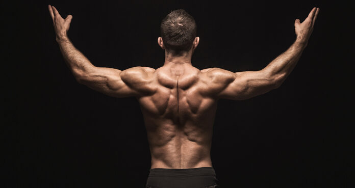 Best Lower Back Exercises: Build Strength and Stability