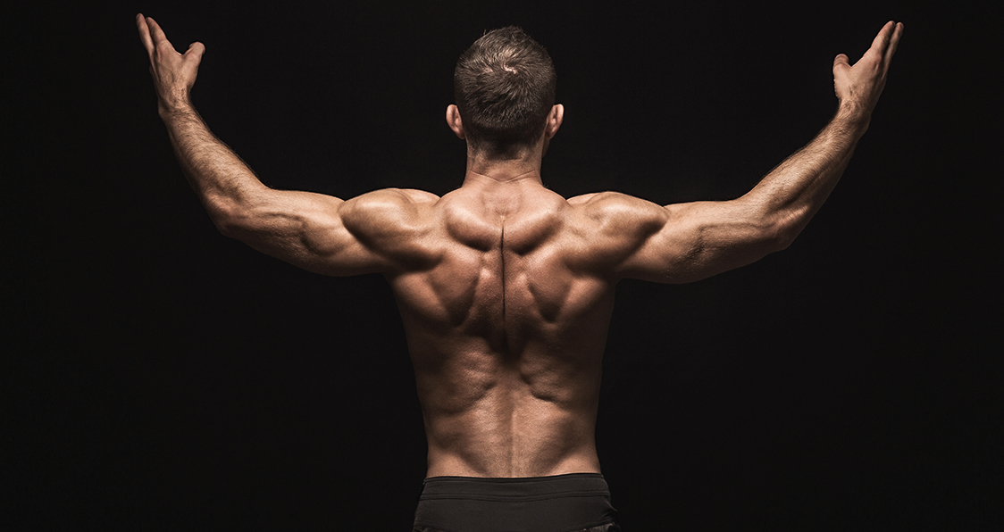 Delt Specialization Program