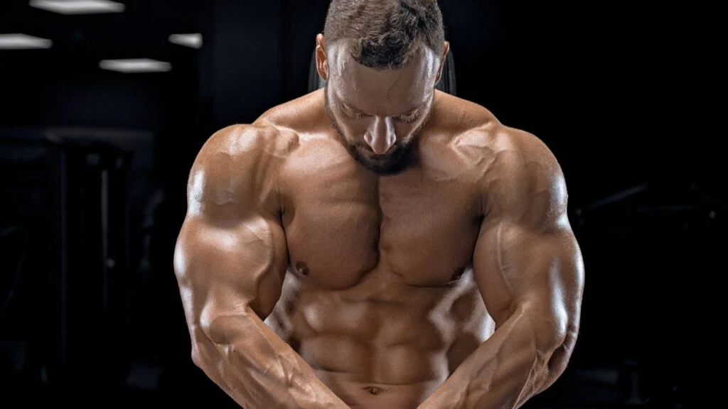 Best Splits for Bulking Best Splits for Bulking