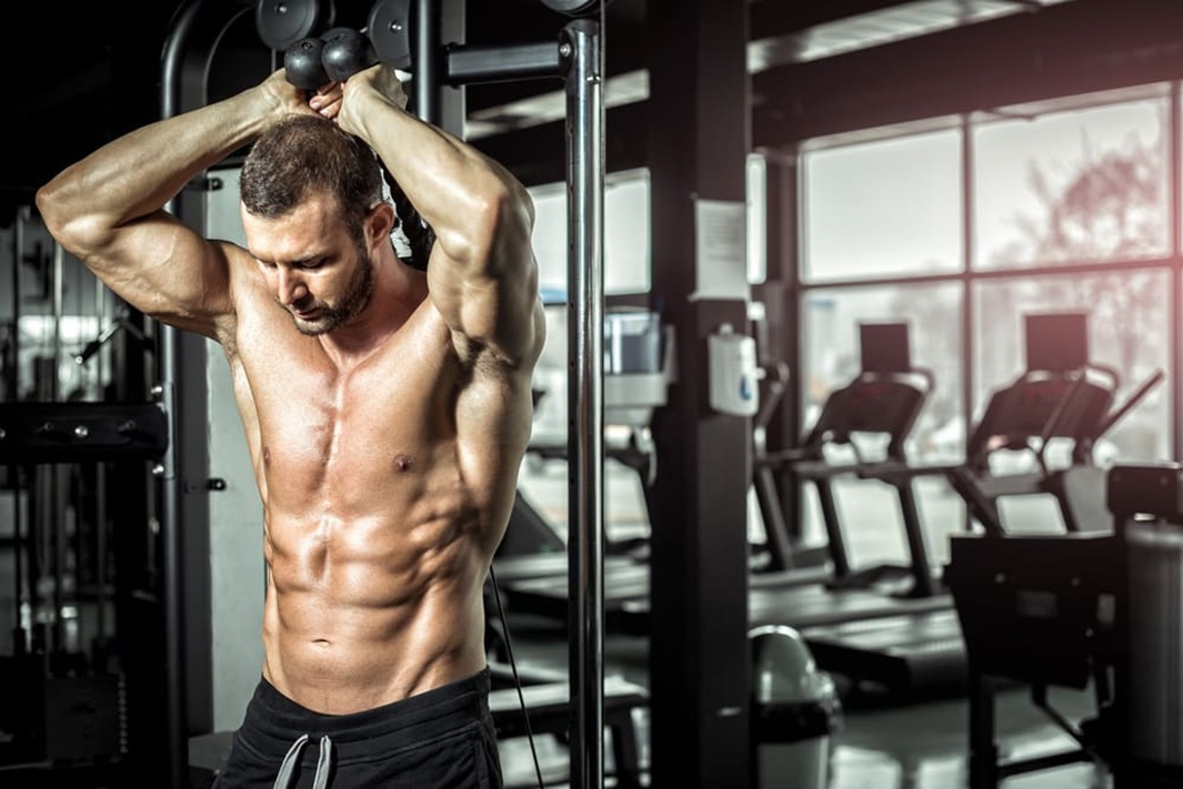 Best Full-Body Workout for Beginners: 3-Day Intro Plan for Strength and Muscle