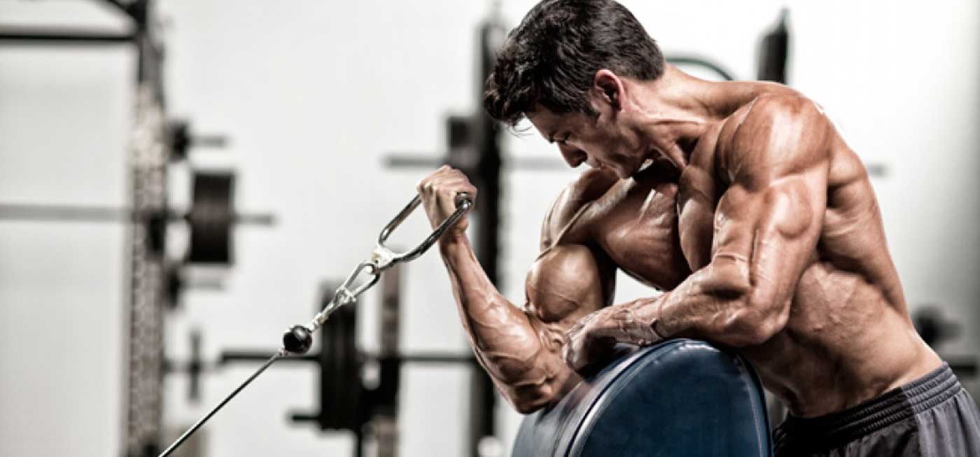 Arm Day Variations