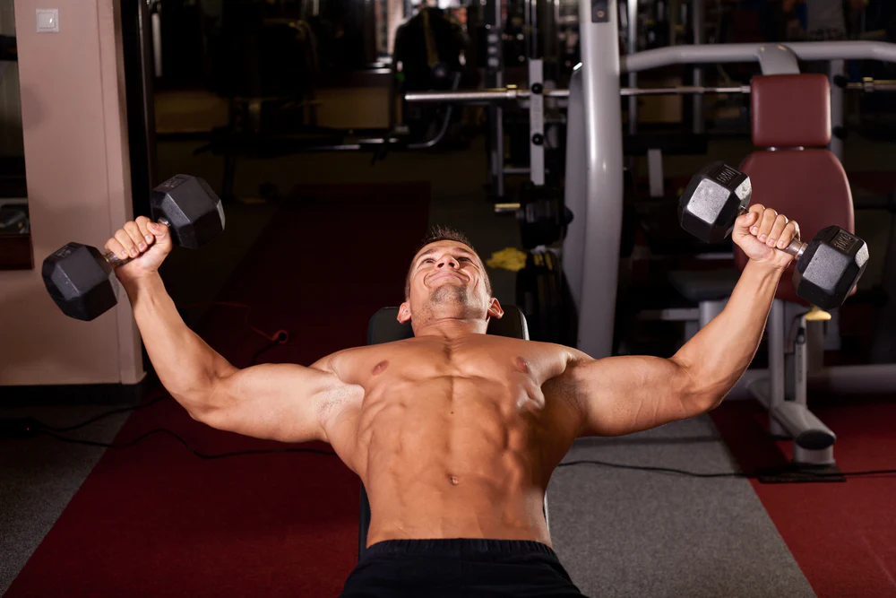 Best Guide to Chest Workouts with Dumbbells: Build Mass, Strength, and Definition