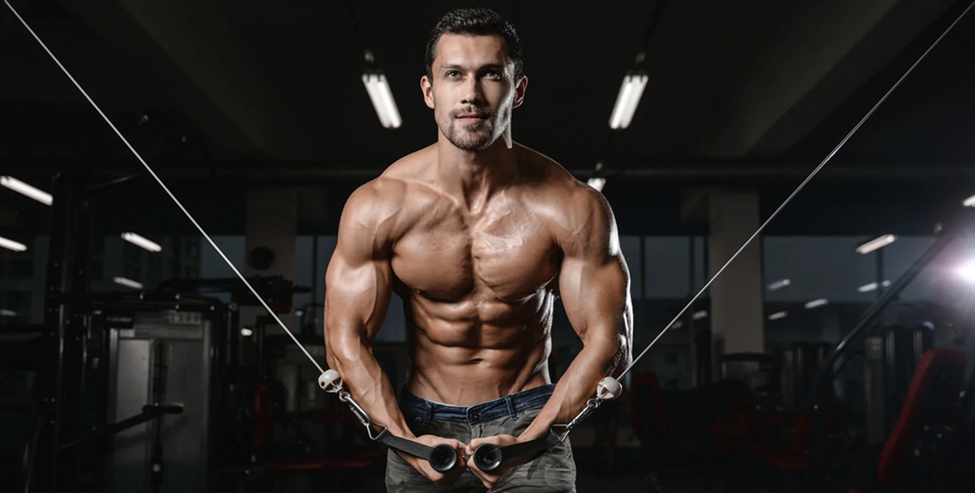 Lower Chest Workouts Lower Chest Workouts