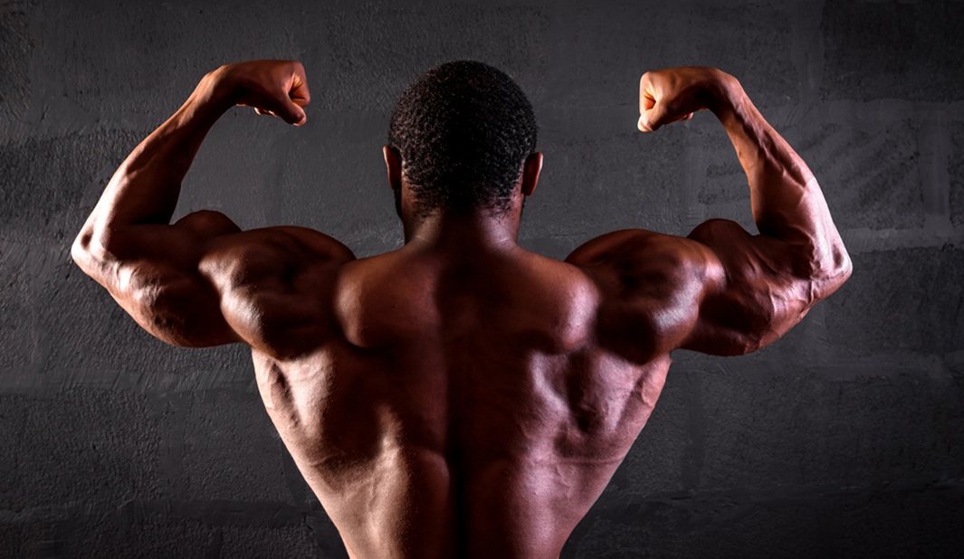 Back Training Strategies Back Training Strategies