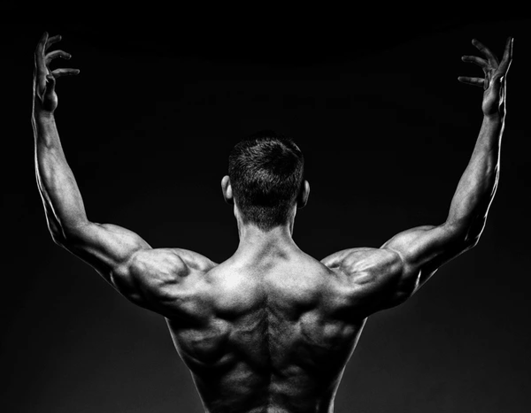 How Do Bodybuilders Train Shoulders?