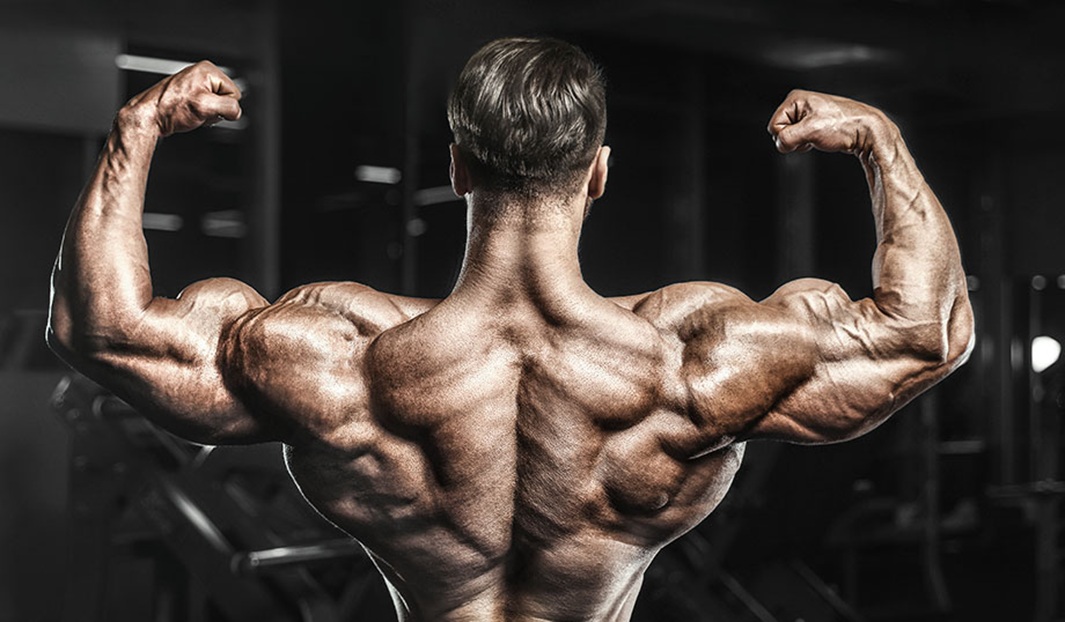 8-Week Delt Specialization Program
