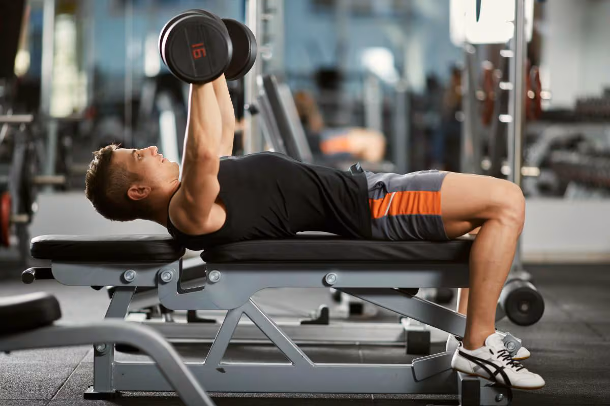 Negative Reps in Bodybuilding Negative Reps in Bodybuilding