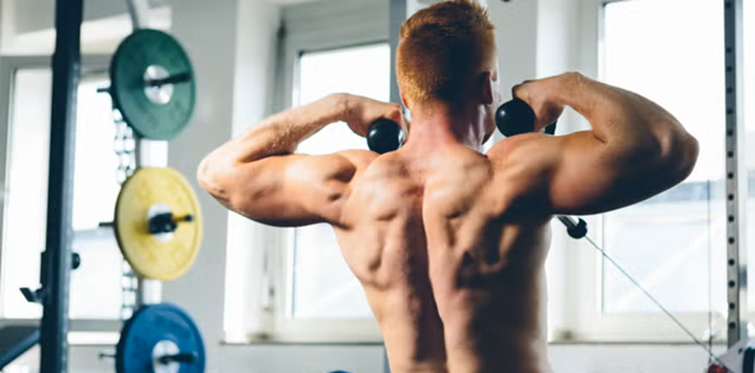 Back Specialization Workouts Back Specialization Workouts