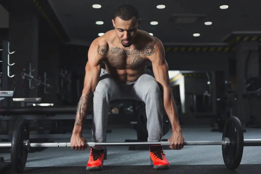 Back Workouts to Pair with Lower Body Splits