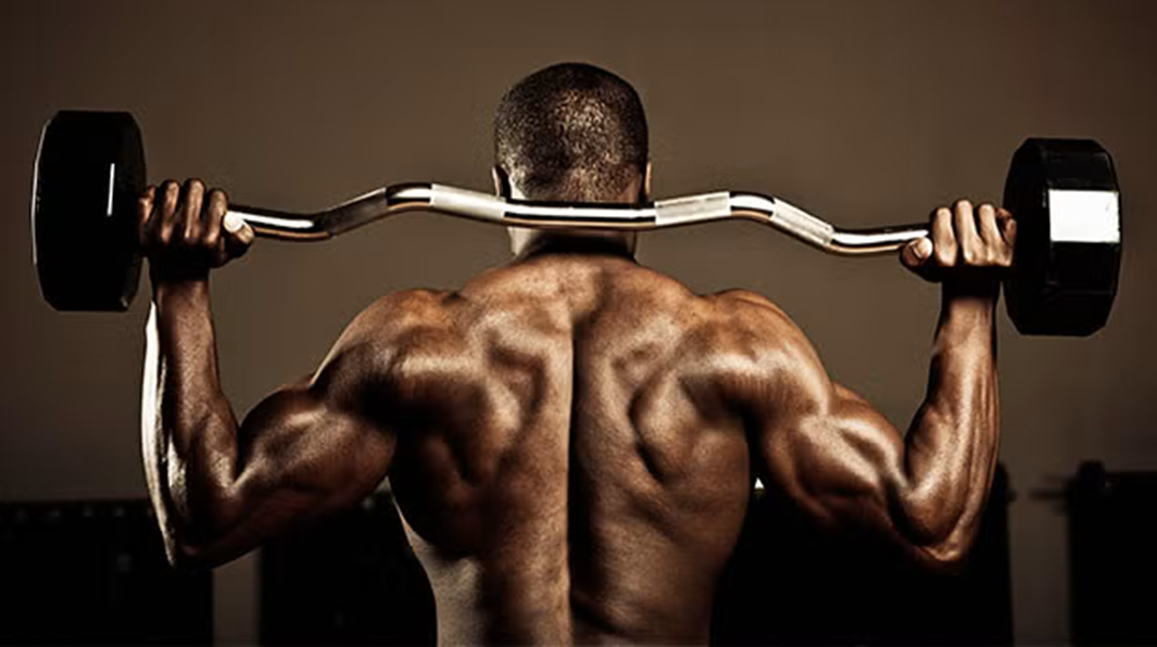 Ultimate Guide to Back Workouts Ultimate Guide to Back Workouts