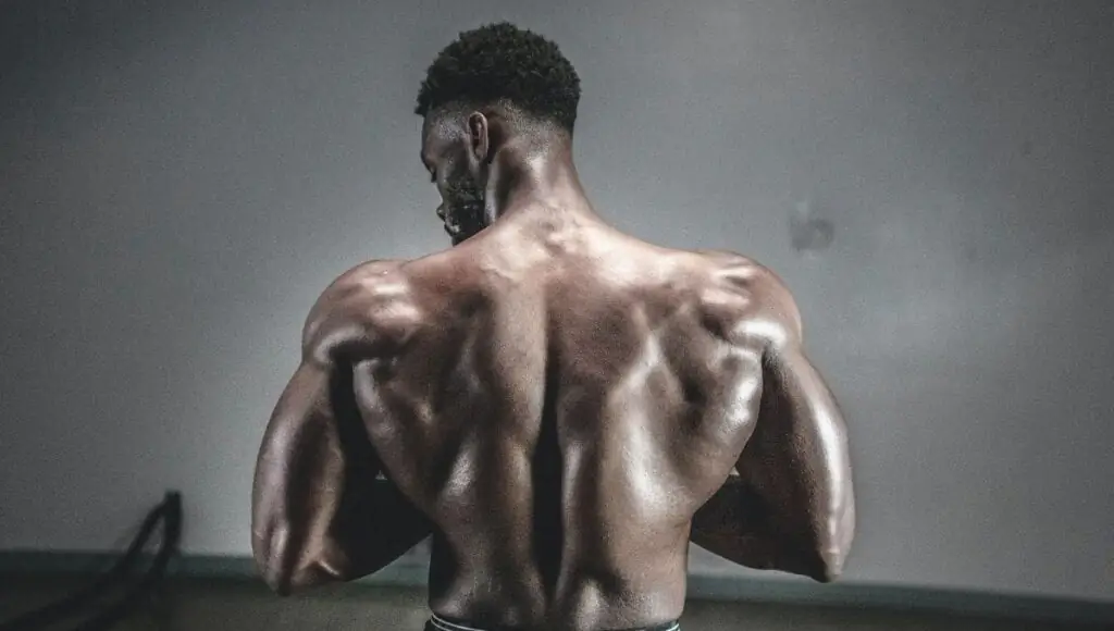 How to Use Anatomy to Improve Your Back Training