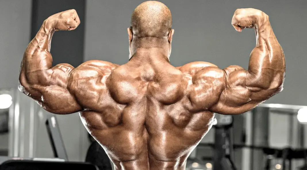 The 10 Best Exercises for a Wider Back (Lat-Focused Training)