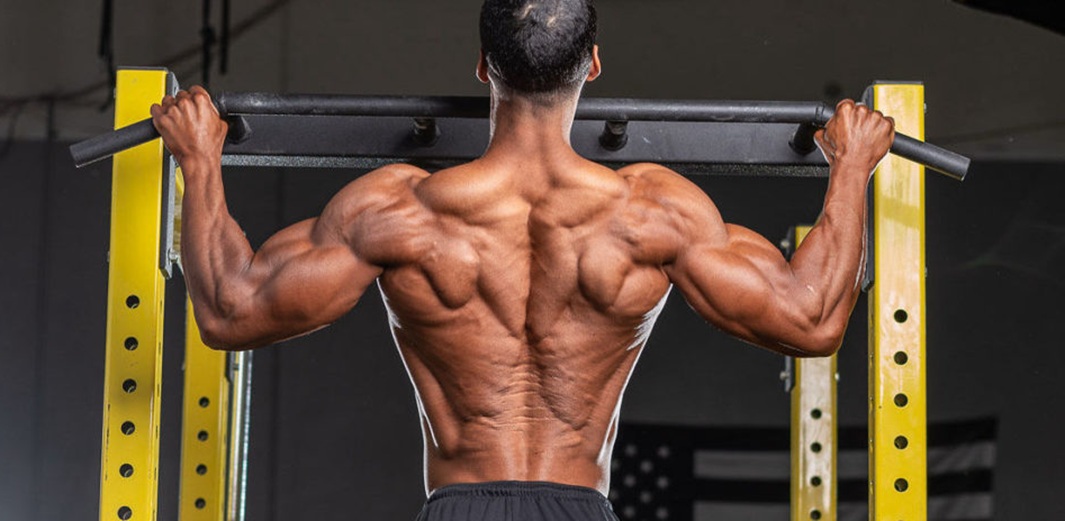 The Ultimate Guide to Back Workouts