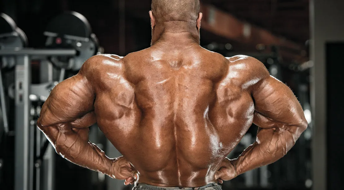 How to Build a Thick Back How to Build a Thick Back
