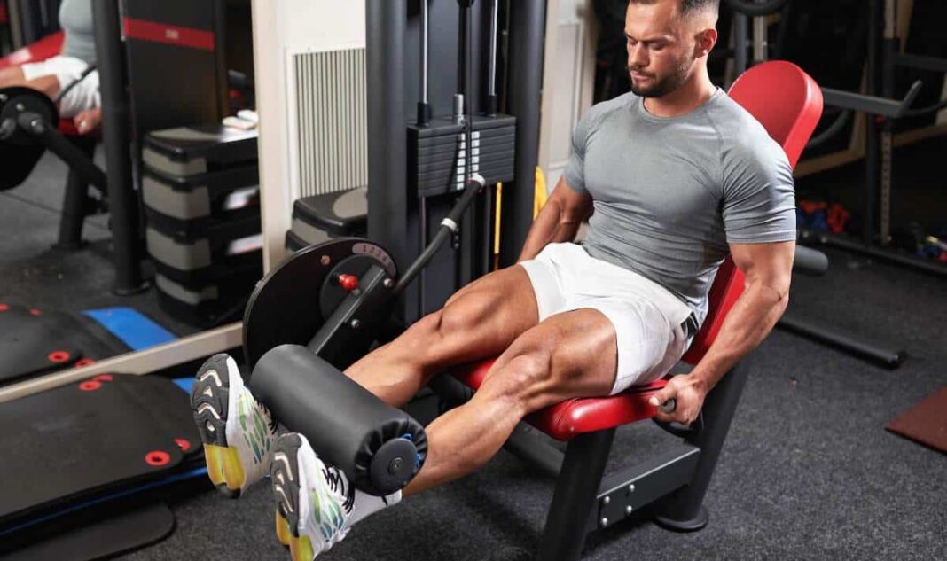 Push/Pull/Legs Split: The Best Muscle-Building Routine?