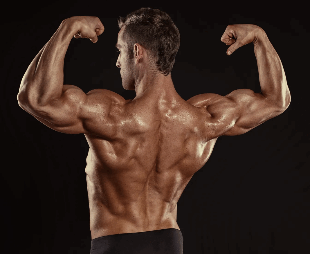 Rear Delts Are Holding You Back