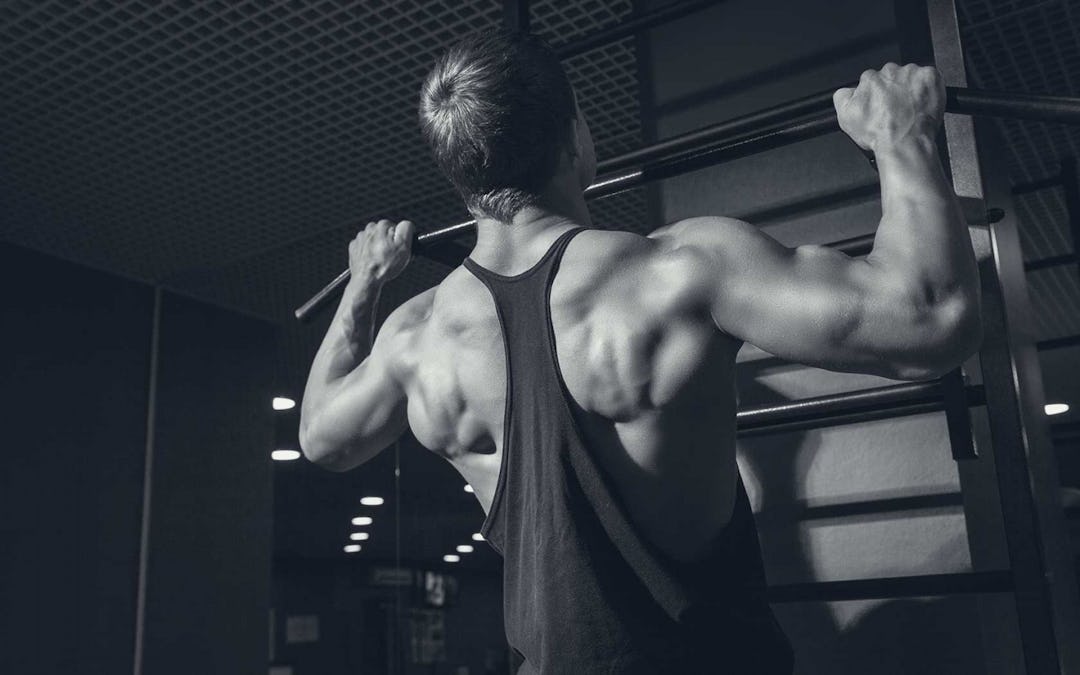 Best Hypertrophy Training Split Best Hypertrophy Training Split