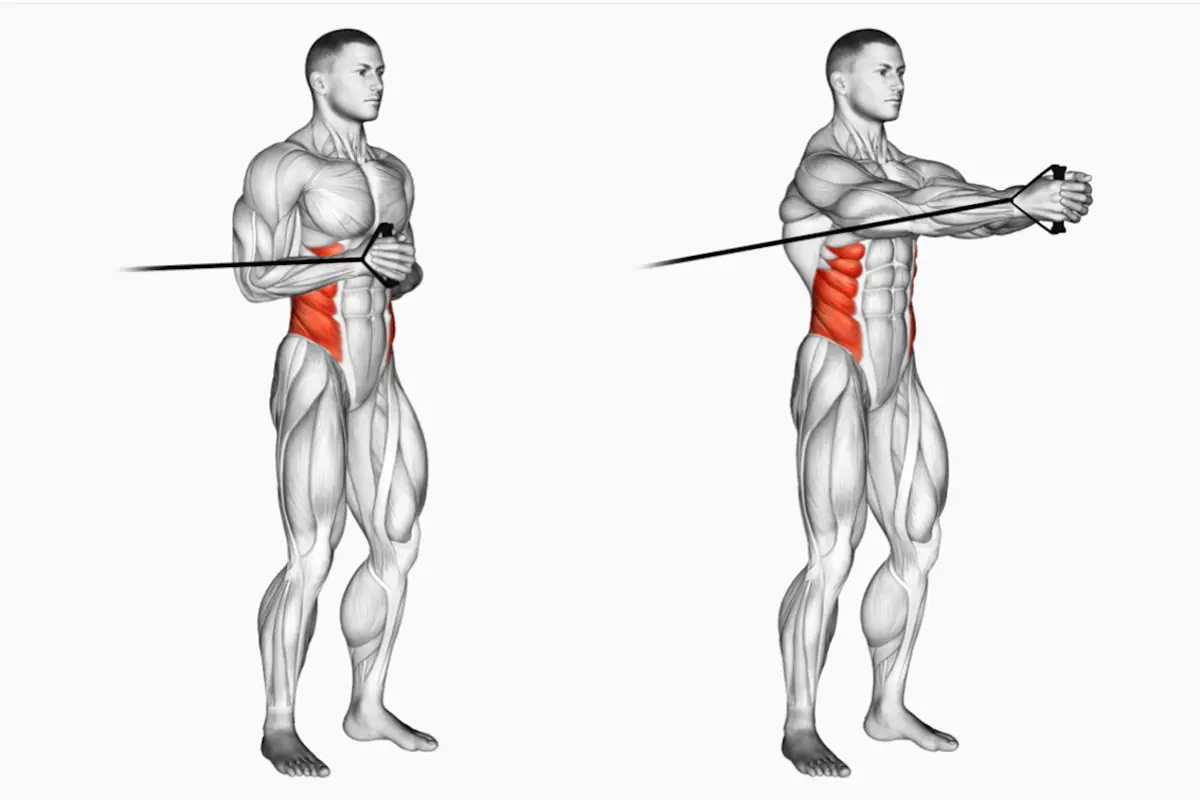How To Do The Pallof Press Core Strength Stability Anti Rotation