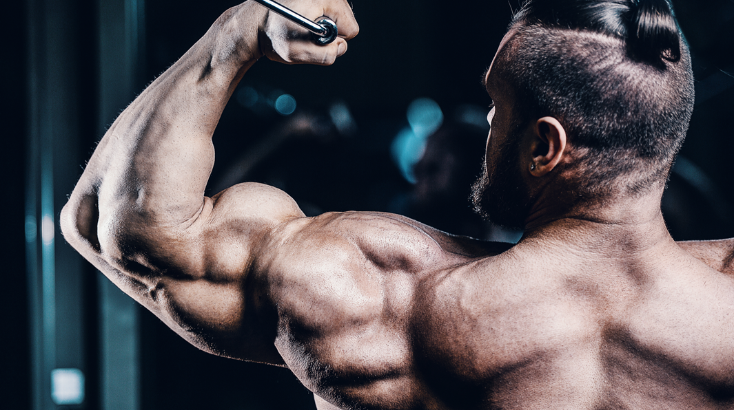 How to Program an Arm Day That Actually Delivers Growth