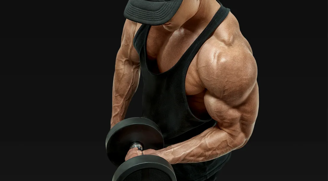Best Biceps Exercises Best Biceps Exercises