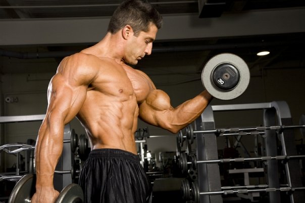 Dumbbell Curl in Training Splits