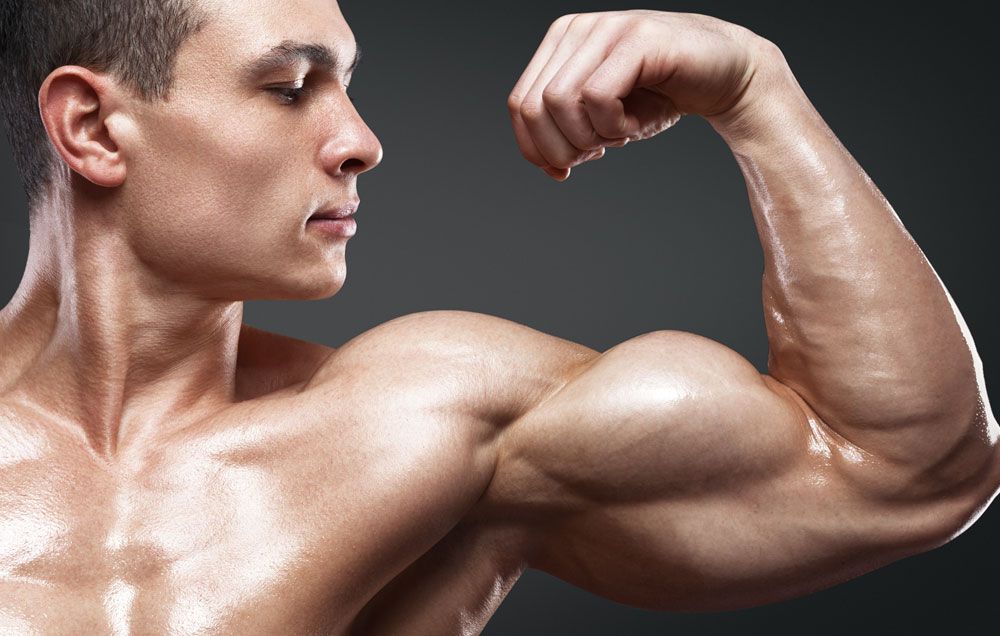 Why Your Arms Aren’t Growing